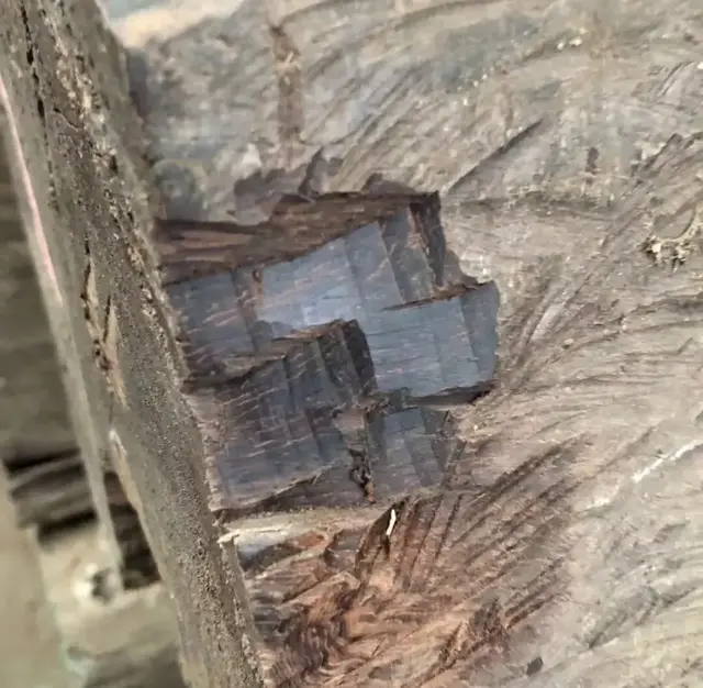 缅甸花枝是红木吗，缅甸花枝是红木吗值钱吗（18种濒危管制红木木种盘点）