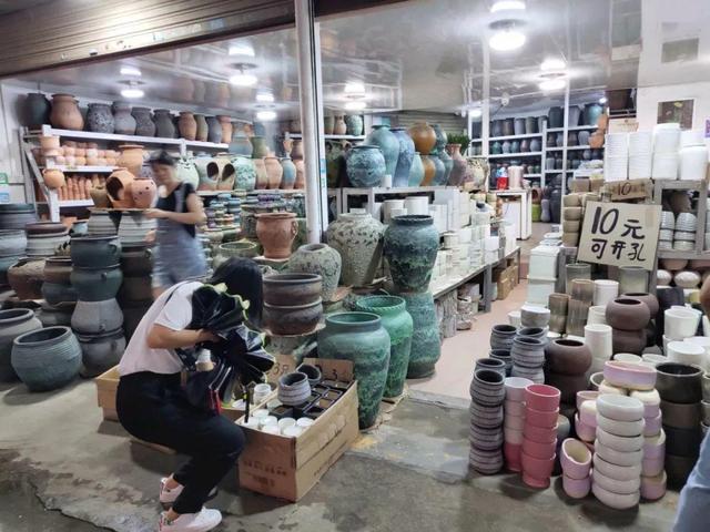 荷花最好看的品种是什么，这花最好看、最好养