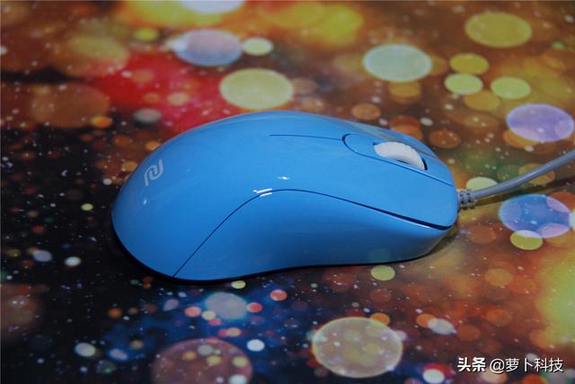 divina跳蚤防治，吡虫啉灭跳蚤（职业FPS选手标配）