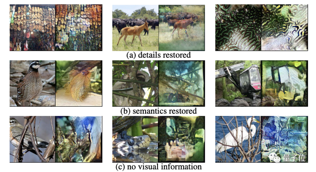 谷歌是干什么的，谷歌paypal下载安卓（谷歌这次成了公敌）