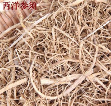 花旗参的功效，花旗参的功效与作用适合哪些人（西洋参有什么功效）