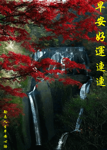 周五问候语简短暖心短句，周五，早安暖心问候晨语