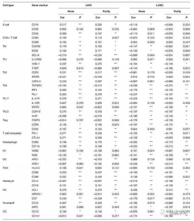 excel左右拉条不见了，excel的左右滚动条不见了（单基因泛癌免疫分析）
