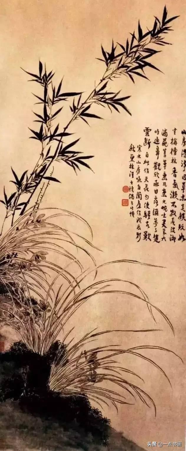 兰花的品质与精神，梅花代表了什么（兰花之美，君子之德）