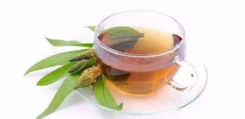 车前草的功效与作用，车前草的功效与作用可以降尿酸吗（“它”是痛风的“死对头”）