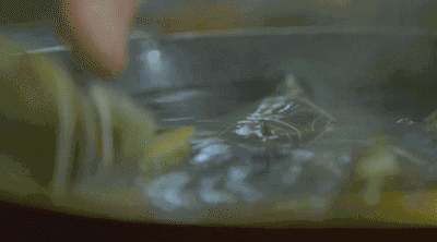 肉粽的热量，肉粽的热量高吗（减肥吃粽子怎么才不胖）