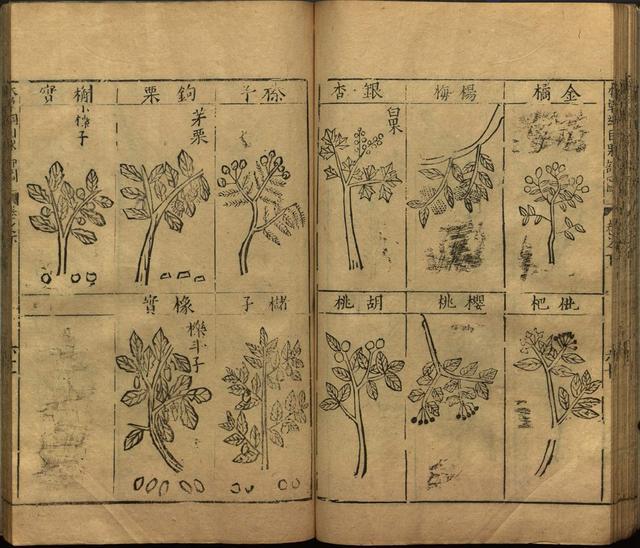 本草纲目全书带图，李时珍本草纲目全书（李时珍著《本草纲目》附图卷）
