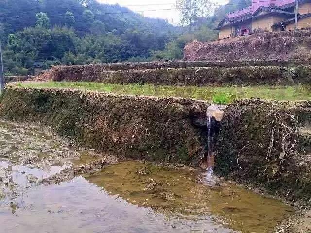 怎样处理鲜竹笋，来看处理新鲜竹笋的小妙招