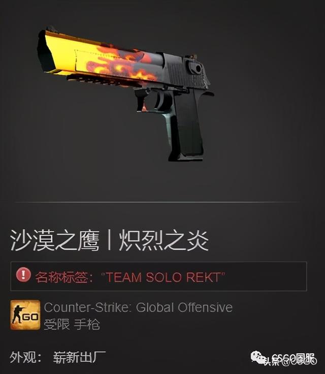 csgo职业比赛eco局五把沙鹰，CSGO职业哥的皮肤大赏