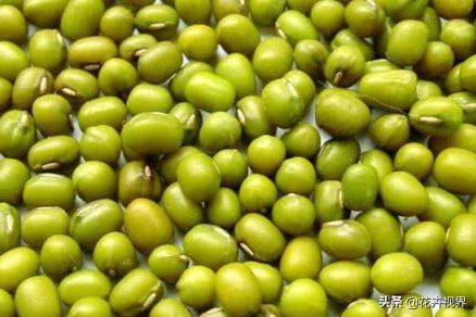 煮绿豆容易烂窍门，怎样煮绿豆粥又快又烂（邻居大妈：下锅前多加“一步”）