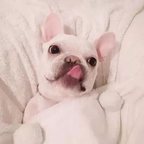 真人部位情头，微信头像，真人部位情头（愿你有能力）