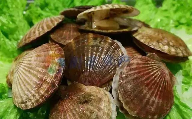 请问清炸小扒皮鱼的做法，炸小剥皮鱼的做法大全（今后再也不怕不认识海鲜了）