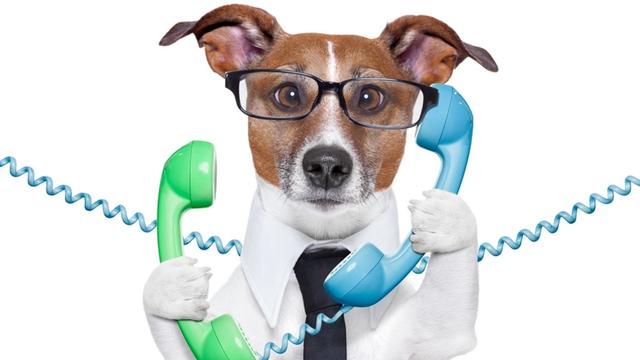 联通130号段的利弊，联通140号段（这两个号段开头的手机号）