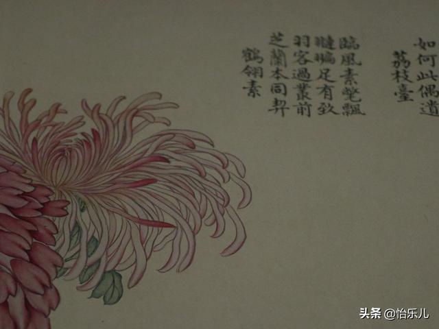 葩的读音（葩怎么读，葩是什么意思（金佛座、搓粉妆、绶带紫、鹤头丹）