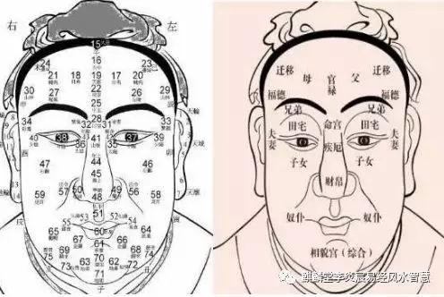 男人当官面相图片