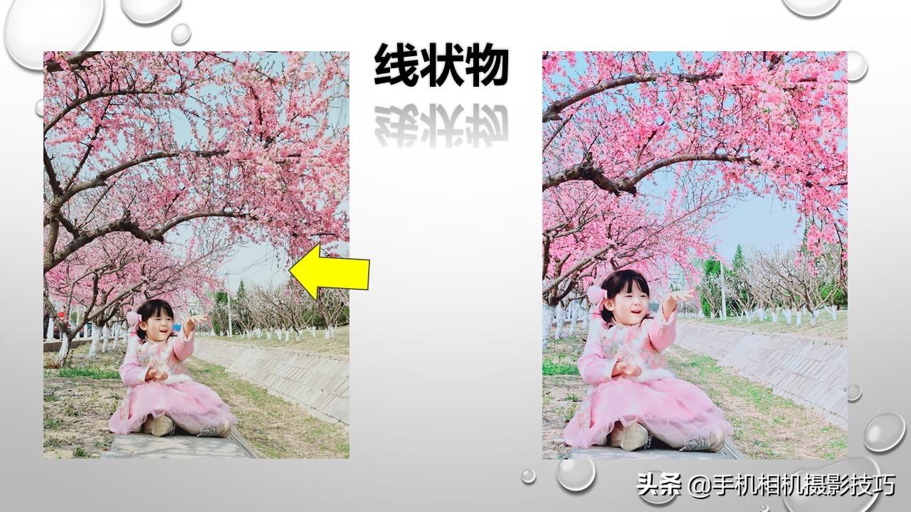 p图软件哪个好(照片文字修改软件)