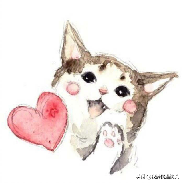 不太明显的情头，微信头像，不太明显的情头（分享一小波不明显的单人情头）