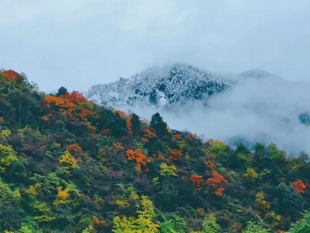 西岭雪山官网订门票，西岭雪山官网直播（含景区门票+交索往返）