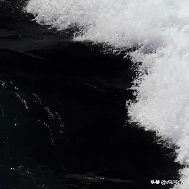 蔡徐坤生日头像～2微信，蔡徐坤生日头像～2（蔡徐坤头像+背景图搭配）