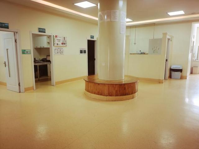 哈尔滨宠物医院，十大哈尔滨宠物医院排名（瑞派宠物医院告诉你最牛医院的正确打开方式）