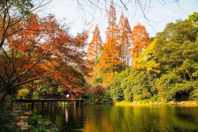 杭州旅游景点有哪些景点？盘点杭州旅游10大景区，建议收藏