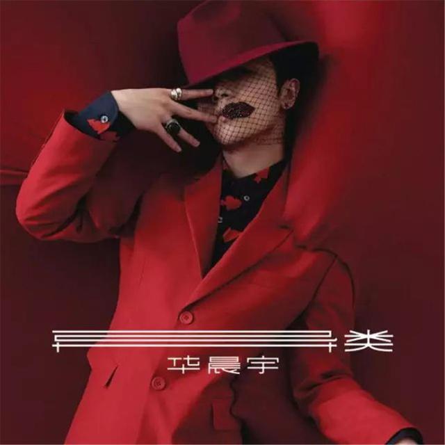 华晨宇是哪里人，华晨宇个人简介（家里有矿、音乐天才、整容、未婚生女）