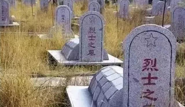 柯震东当男主，片酬4000万？难道他真的复出成功了？