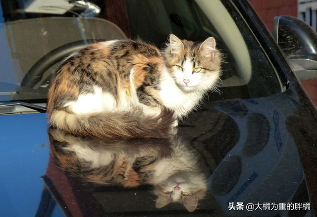 得了艾滋一辈子完了吗，感染艾滋病的一生就完了（多注意这些小细节）