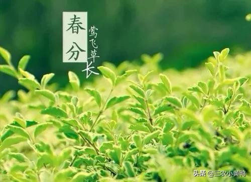 春分的美好寓意，春分的美好象征（春分节气这4个民俗要知晓）