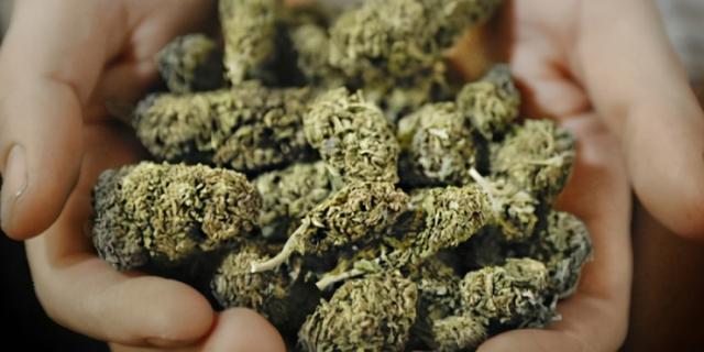 揭秘冰毒的危害，这几种毒品的危害
