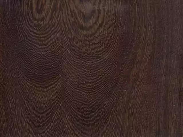 树木名称，知识，铁刀木与铁力木的区别（100种树木名称）