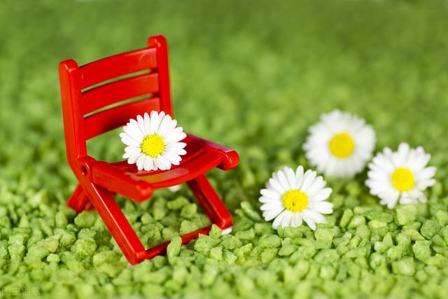 什么是自我认知，性别认知障碍50道测试（自我认知//“我是谁？”）