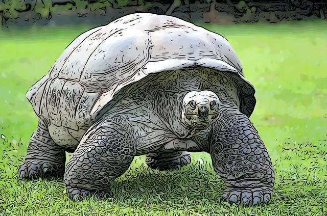 不及是什么意思，过往不及是什么意思（庄子-逍遥游<五>）