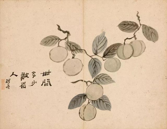 国画怎么画稻子好看，国画稻子图片（欣赏国画里的芒种风光）