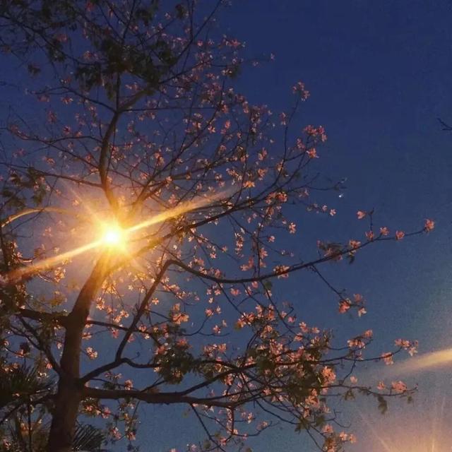 唯美月光背景图,唯美月光背景图片(一组唯美的放烟花壁纸和治愈背景图分享) 唯美月光背景图,唯美月光背景图片(一组唯美的放烟花壁纸和治愈背景图分享)