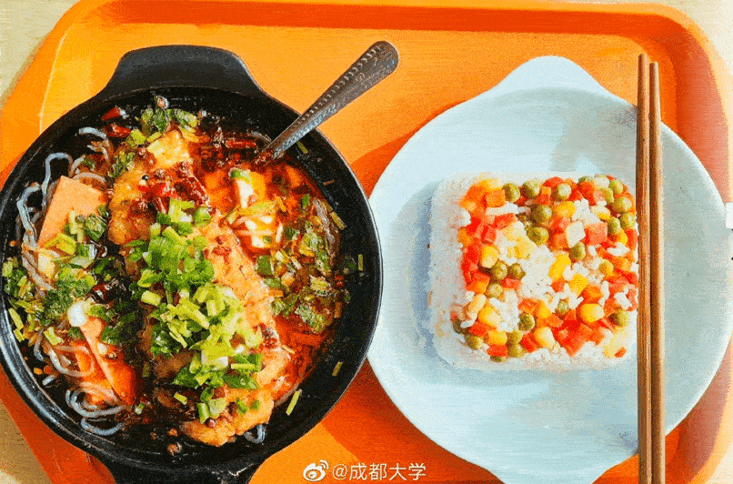 厦门大学嘉庚学院是几本，厦门嘉庚学院怎么样（这5所大学伙食堪比饭店）