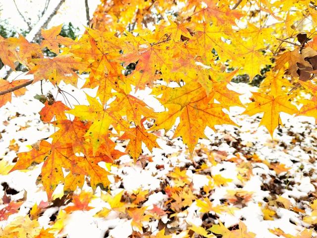 慌慌张张匆匆忙忙，匆匆忙忙慌慌张张是什么歌（慌慌张张，匆匆忙忙的一年）