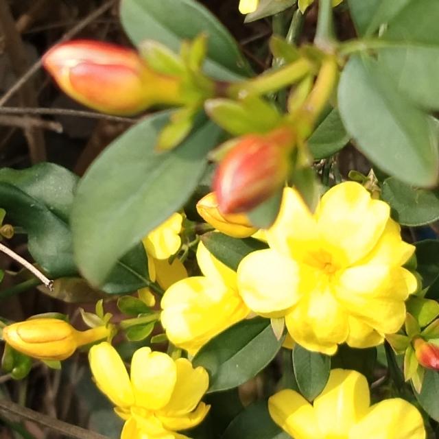 春天在什么在什么在什么上仿写，春天在什么在什么在什么上的仿写句子有哪些（跟着朱自清的美《春》写出我们精彩的《秋》）