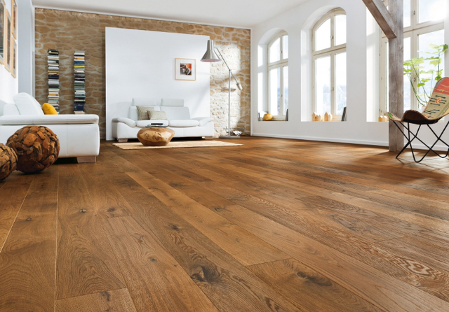 地龙骨定义的介绍，它的功效与作用是什么（学会挑选妙招，让冬天更加温暖）