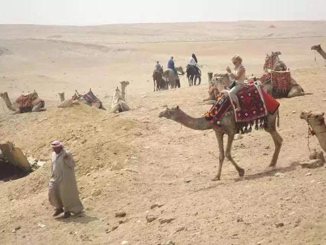 埃及金字塔简介，埃及金字塔简介用英语（埃及金字塔）