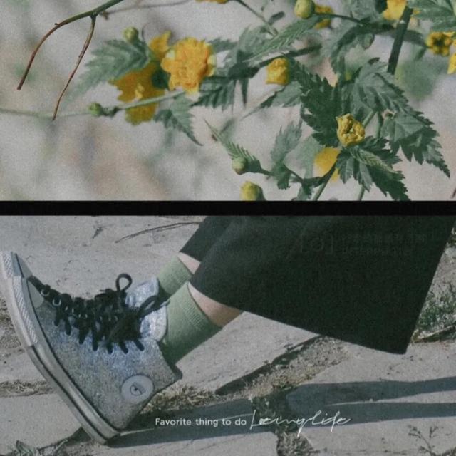 必有回响的上一句是什么，念念不忘必有回响对应的话（你相信“念念不忘）