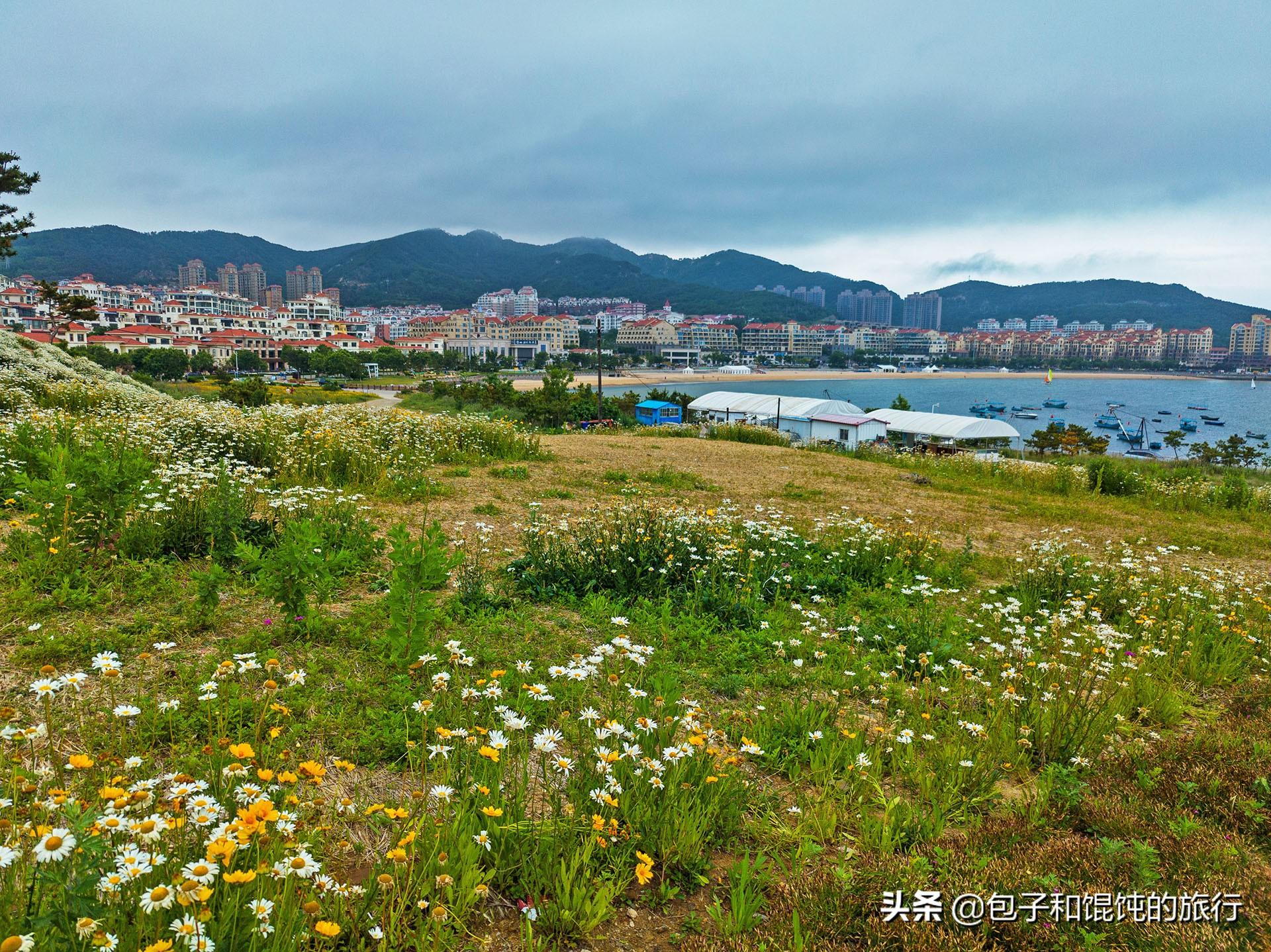 威海市中心在哪(荣成市中心是哪个区)