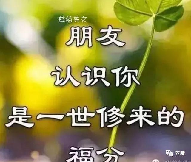 感恩有你的句子，感恩有你的简短句子（人生路上遇知己，感谢微信有你）