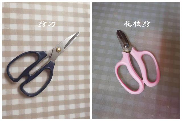 简易乌龟晒台做法，乌龟晒台自己做（给龟龟DIY一个晒台吧。超详细步骤）