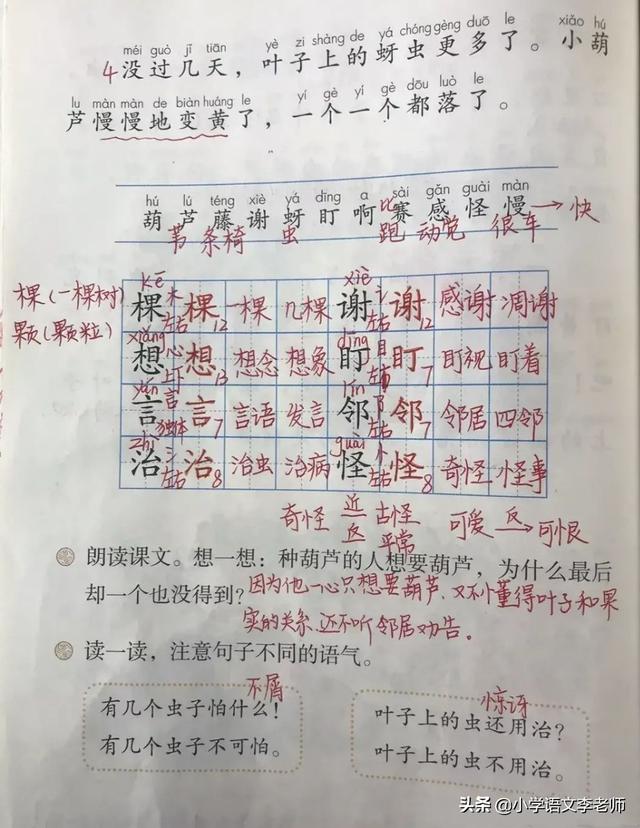 言字怎么组词，二年级语文上册《我要的是葫芦》知识点整理