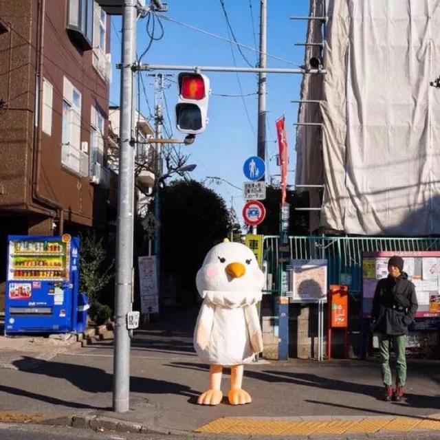 搞怪女头，微信头像，搞怪女头（没有什么困难是战胜不了我的）