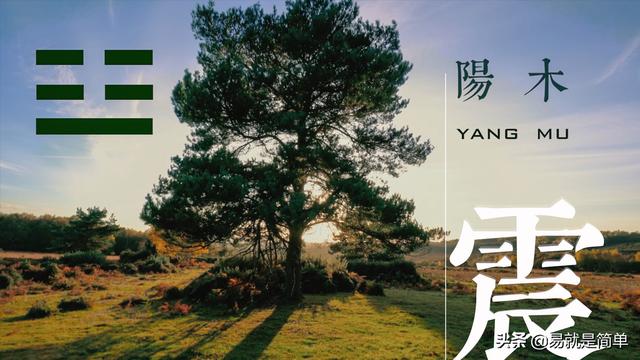 如何通过五行八卦起名，五行八卦是什么（五行与《易经》八卦的对应关系）