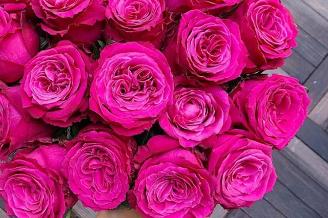 各种玫瑰花的含义，各色的玫瑰花有什么含意（一篇文章认全花店必备80种玫瑰花）