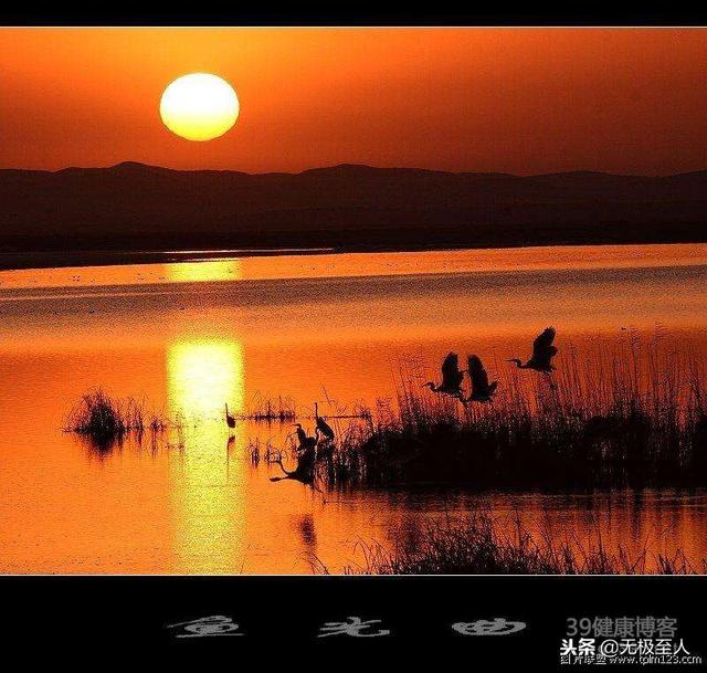 雪梨 可爱动物猫咪狗狗美图/太阳强烈 水波温柔.，雪梨的功效与作用（采桑子·龙潭湖水波潋滟）
