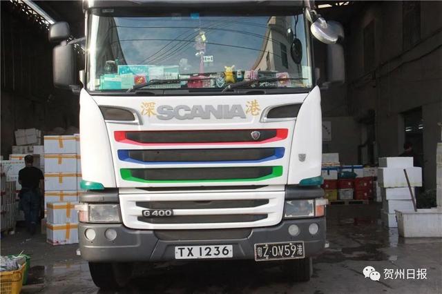 豆妃是什么，豆妃是什么样子（贺州豆杯在香港一斤能卖80元港币）